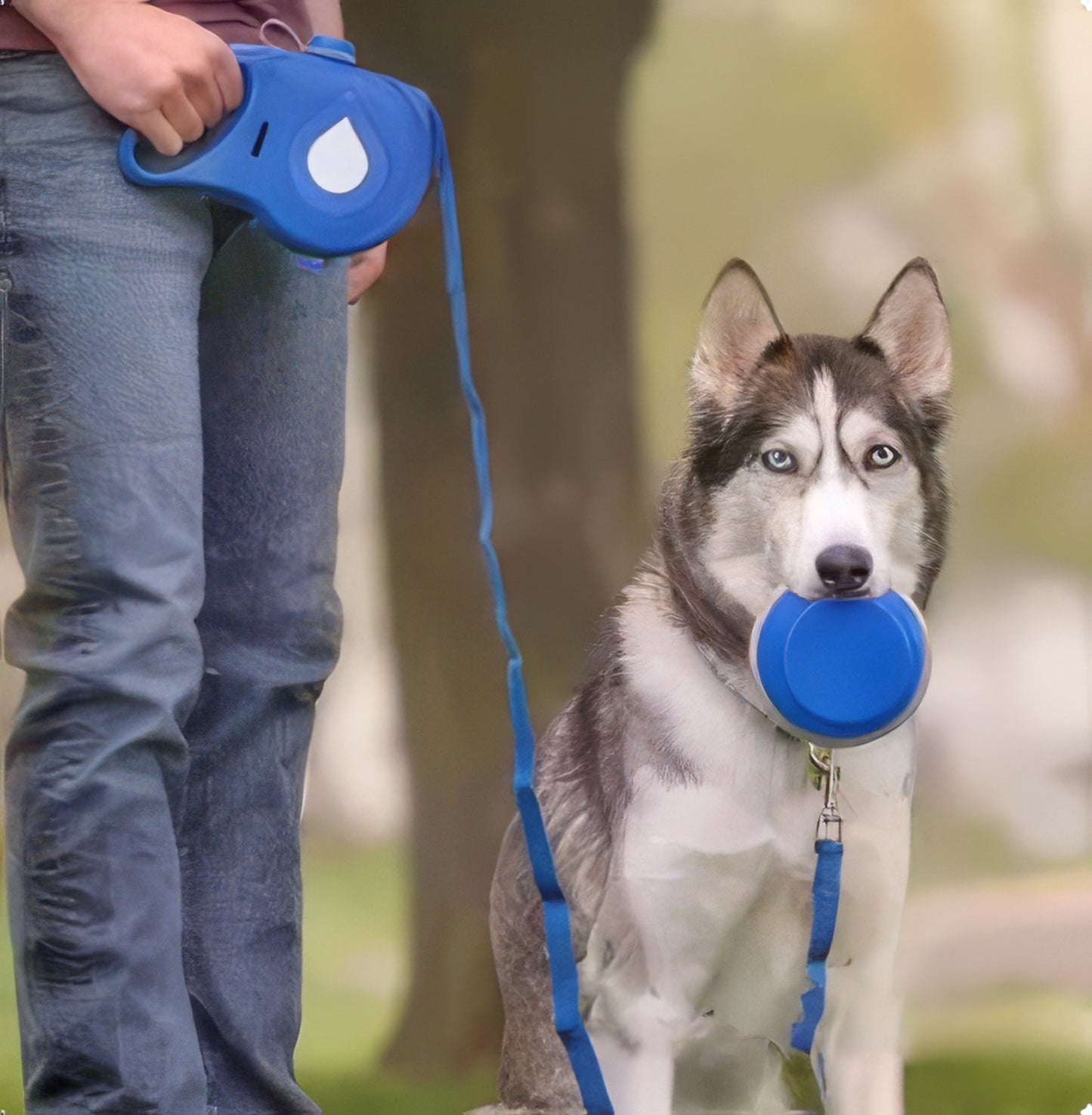 MultiPati Çok Amaçlı Köpek Tasması 6 in 1